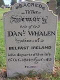 image of grave number 505193